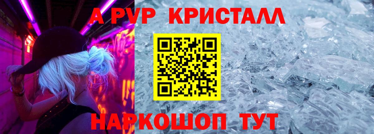 A PVP СК КРИС Волгоград