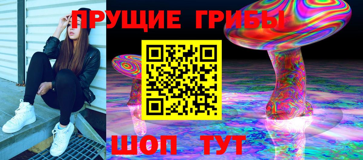 Волгоград  Галлюциногенные грибы Psilocybine cubensis  Псилоцибиновые грибы Psilocybe  Вход с VPN 