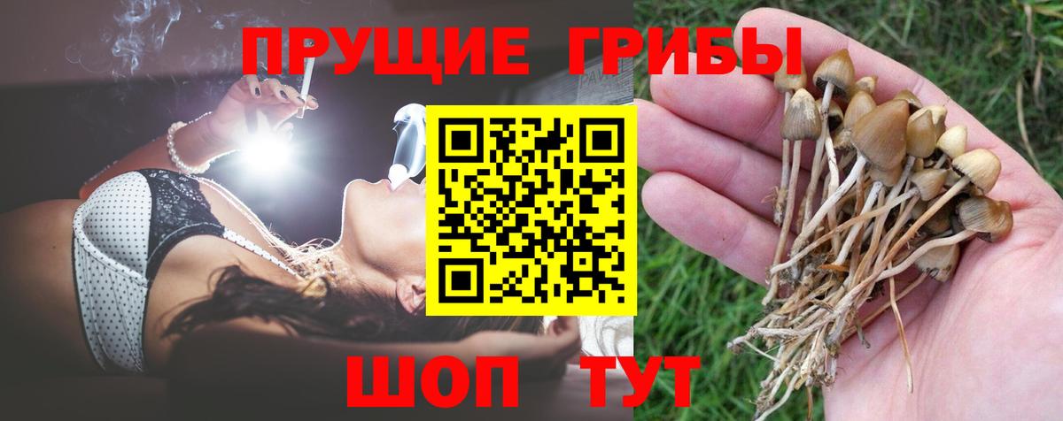 Псилоцибиновые грибы мухоморы Волгоград